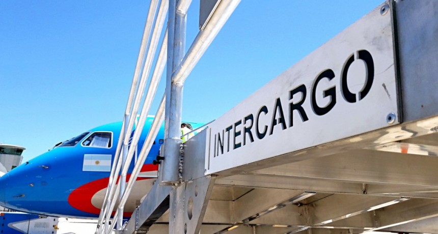 El Gobierno echó a 15 empleados de Intercargo por el paro en Aeroparque