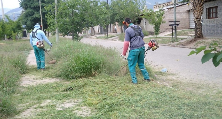 El Programa Manzanas Saludables lleva adelante trabajos de prevención en la zona este de la capital