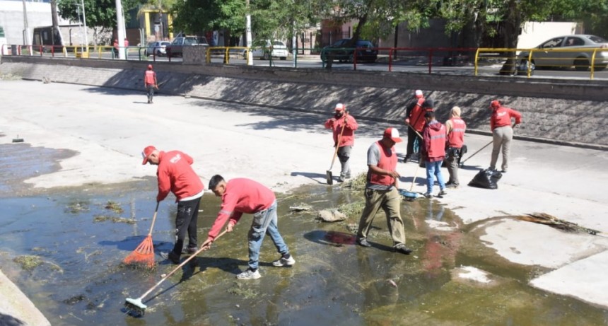 Despliegan operativo de limpieza del Río Tajamar