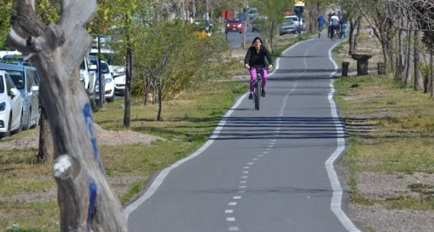 Avanzan en el código de ciclistas