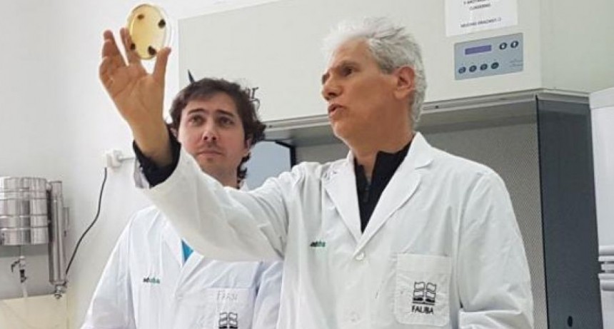 Relanzaron el programa Raíces para repatriar científicos argentinos