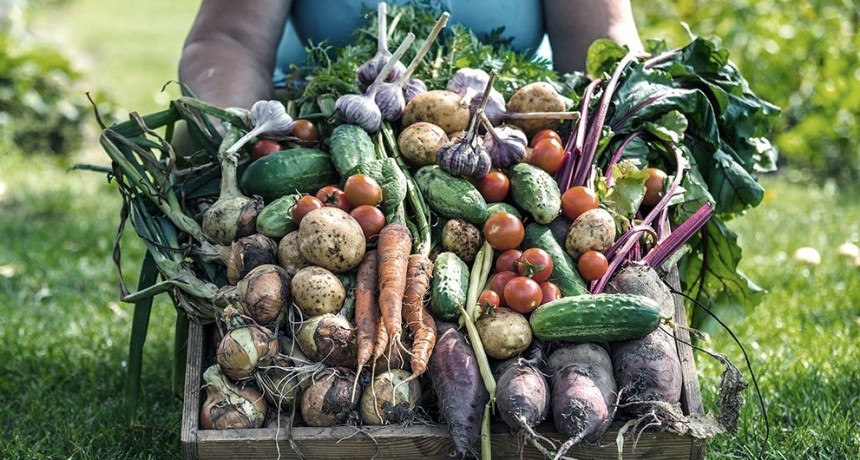 Gobierno eliminó retenciones para propiciar exportaciones de las economías regionales