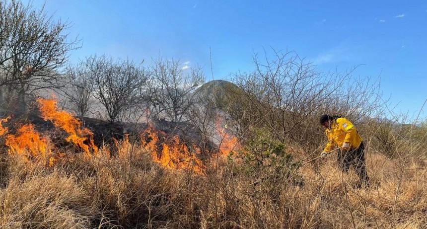 Ante los incendios forestales solicitan desde el gobierno provincial precaución