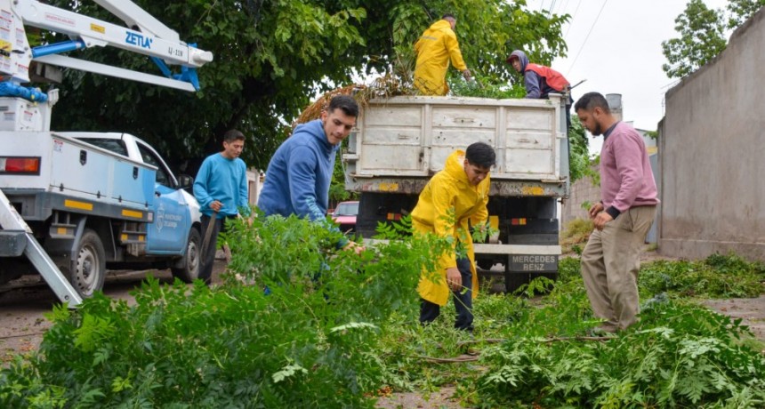 El Municipio de Capital avanza con diferentes operativos luego de la lluvia