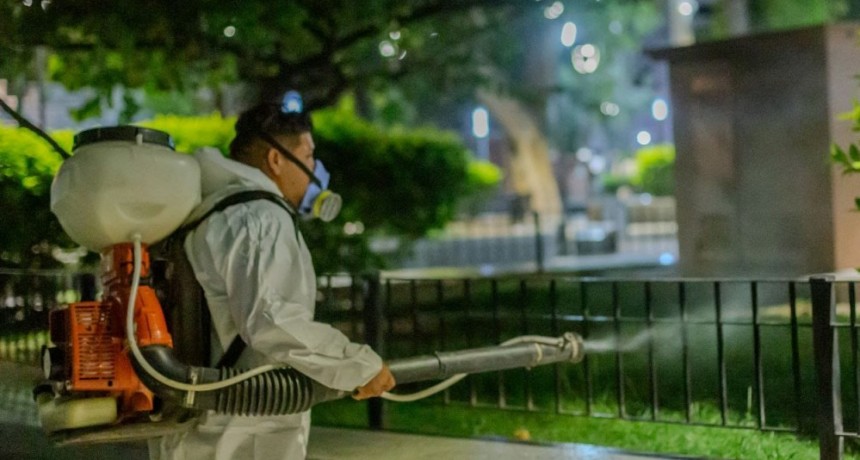 Provincia y Municipio realizan control de plagas en la ciudad