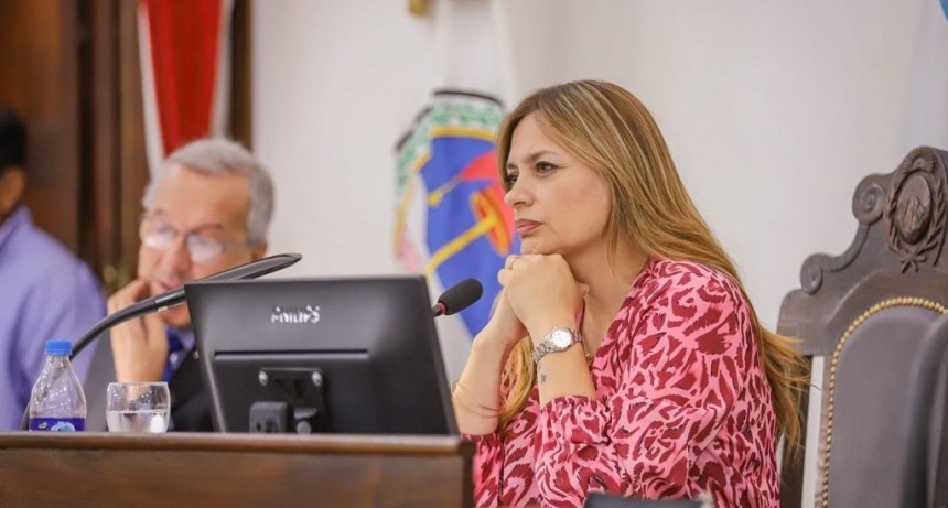 Diputados reconducen Presupuesto 2023 y aprueban la Ley Impositiva 2024