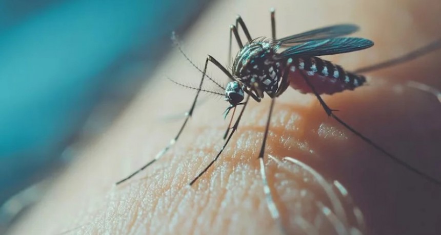Salud confirmó el primer caso de dengue de esta temporada