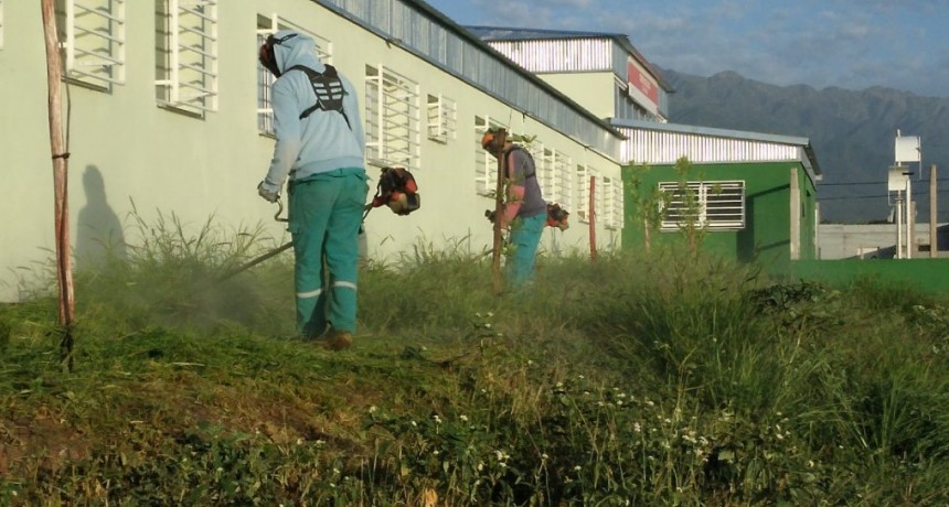 Continúan los operativos para concientizar sobre el dengue y erradicar criaderos de mosquitos  