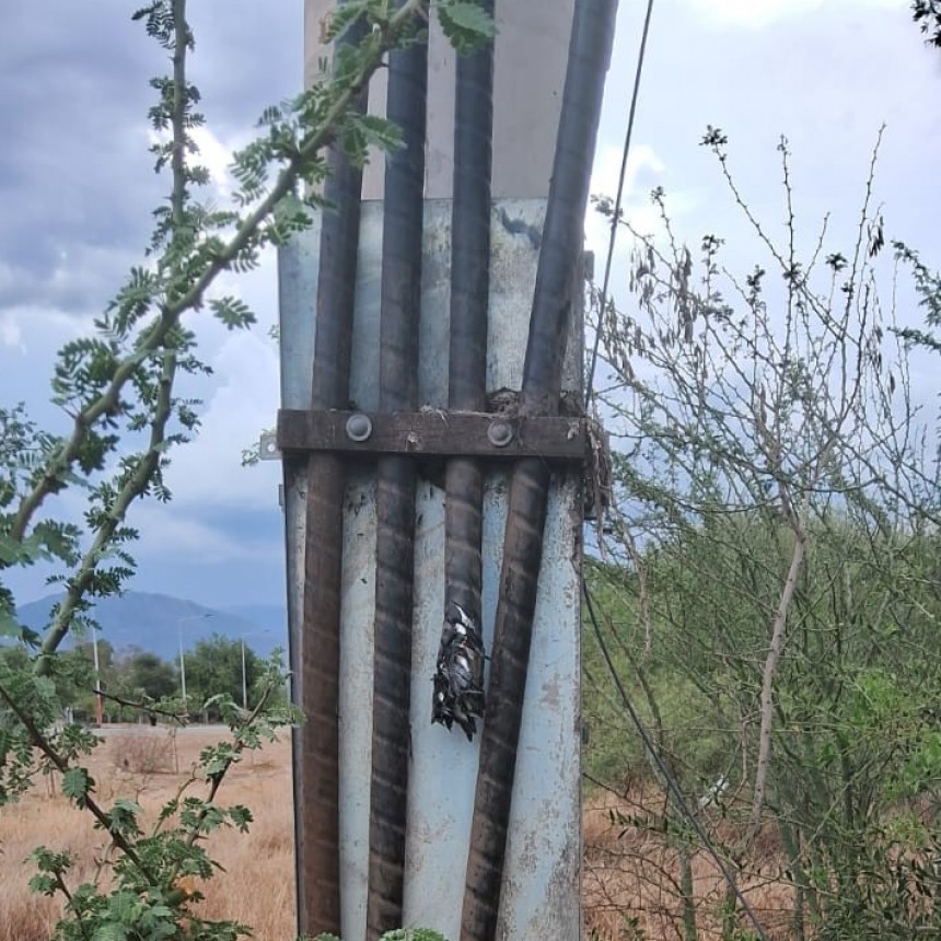 La zona Este de la ciudad Capital se encuentra momentáneamente sin servicio eléctrico