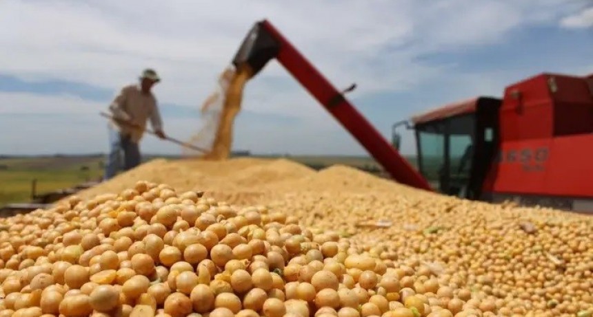 El Gobierno reduce nuevamente las retenciones y busca darle oxígeno al sector agropecuario